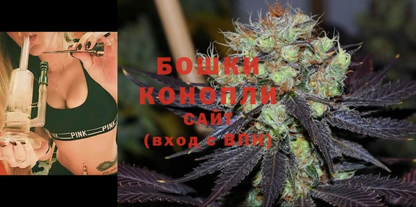 apvp Володарск