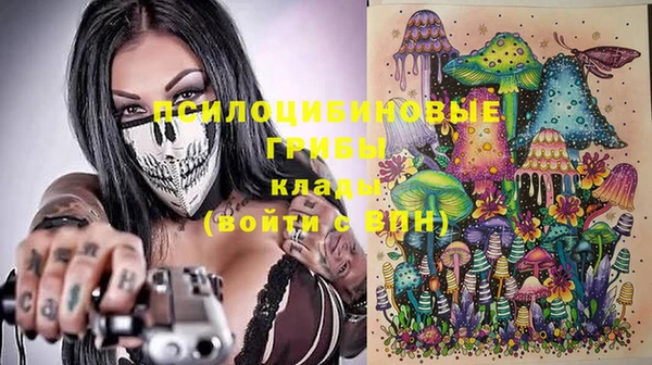 apvp Володарск