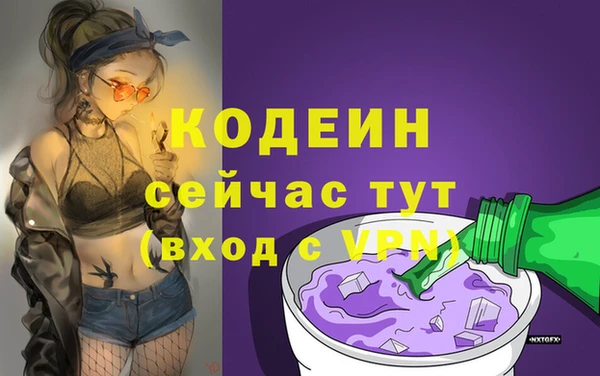 apvp Володарск